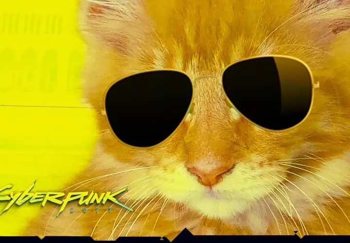 Cyberpunk kot: nietypowy przewodnik po adopcji futurystycznego przyjaciela