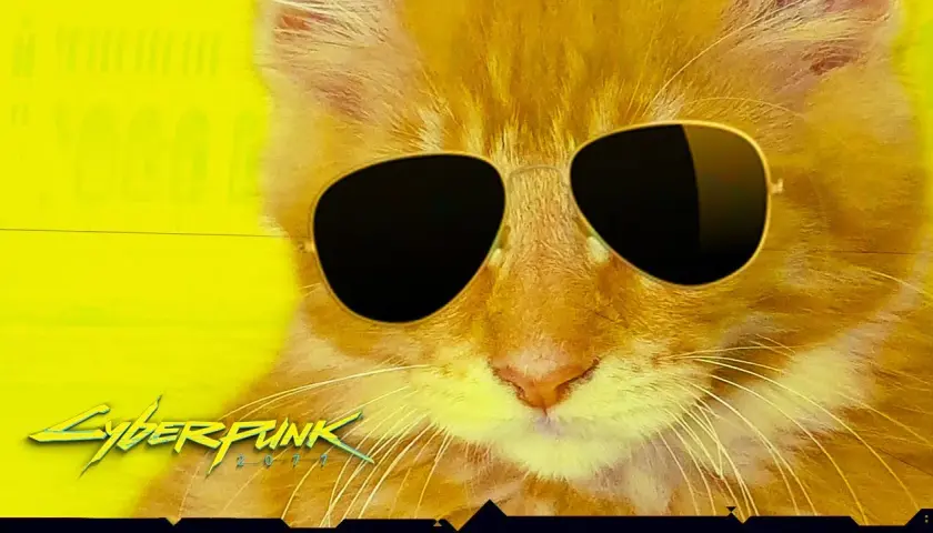 Cyberpunk kot: nietypowy przewodnik po adopcji futurystycznego przyjaciela